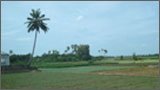 Mathagal